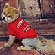 Pets First University of Louisville Pet T-shirt                                                                                  - view number 2 image