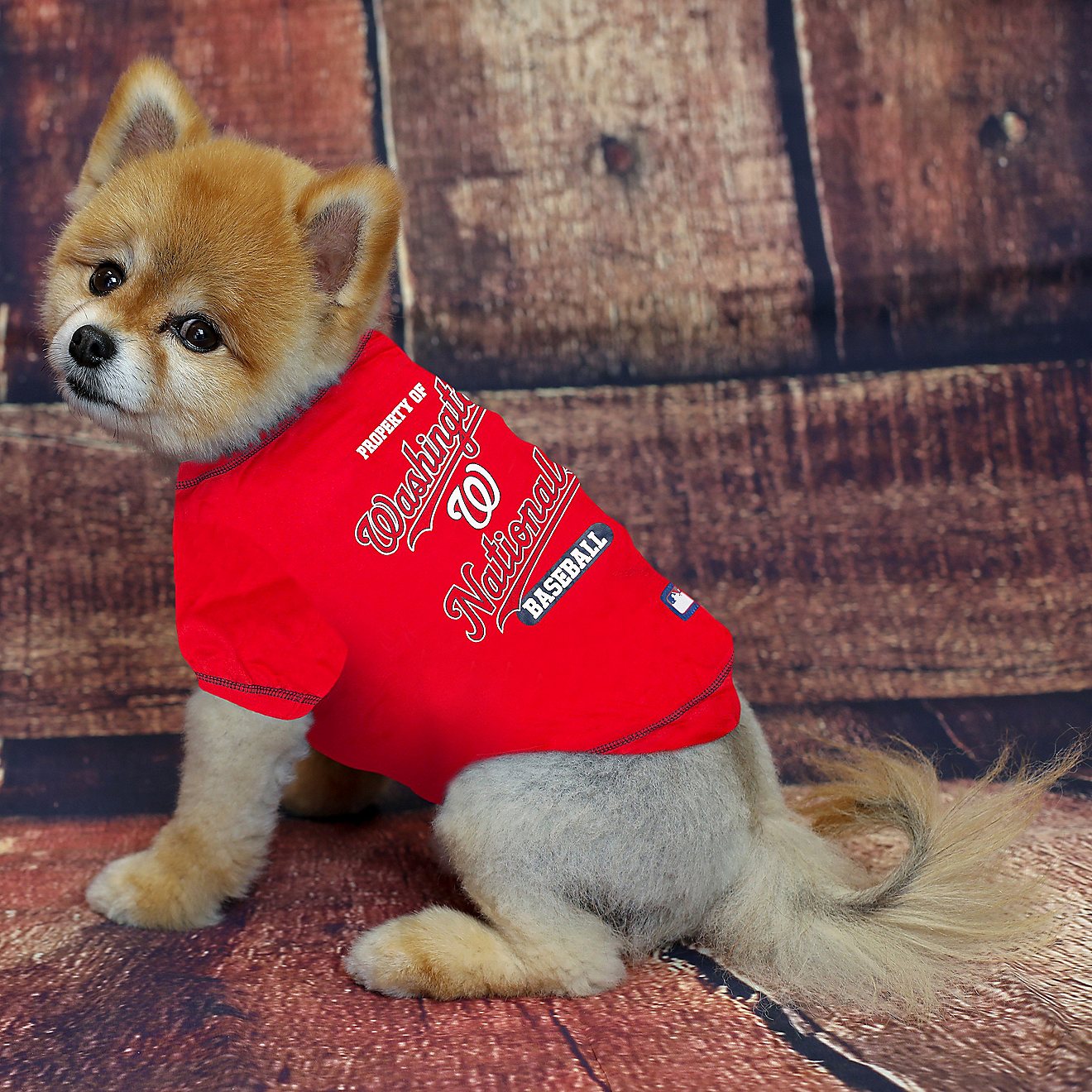 Pets First Washington Nationals Dog T-shirt                                                                                      - view number 2