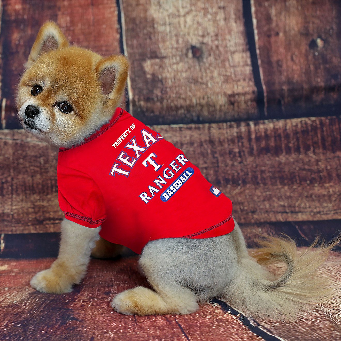 Pets First Texas Rangers Dog T-shirt                                                                                             - view number 2