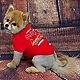 Pets First St. Louis Cardinals Dog T-shirt                                                                                       - view number 2 image