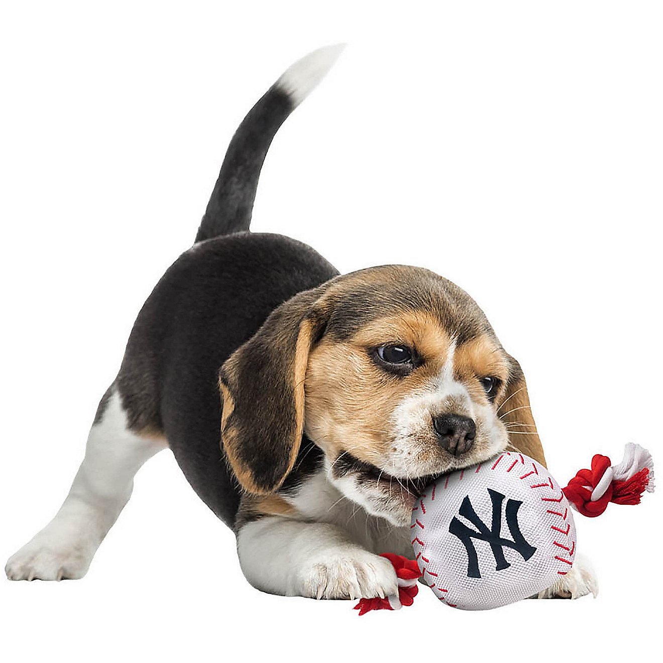 Pets First New York Yankees Nylon Baseball Rope Dog Toy                                                                          - view number 2