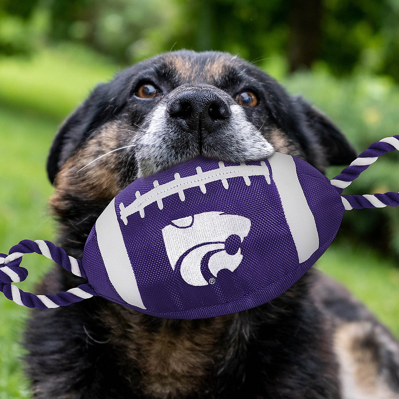 Pets First Kansas State University Nylon Football Rope Toy                                                                       - view number 2