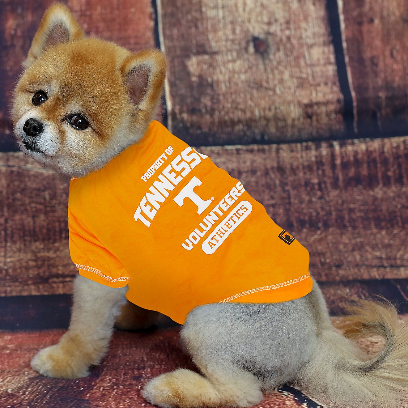 Pets First University of Tennessee Pet T-shirt                                                                                   - view number 2