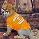 Pets First University of Tennessee Pet T-shirt                                                                                   - view number 2 image