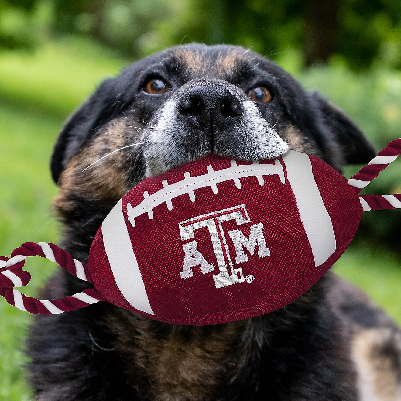 Pets First Texas A&M University Nylon Football Rope Toy                                                                          - view number 2