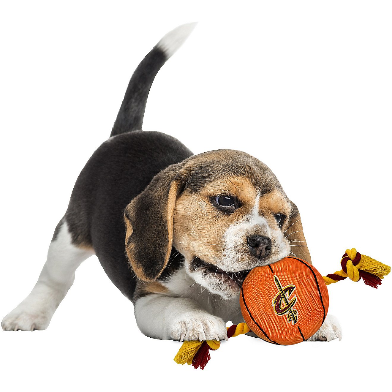 Pets First Cleveland Cavaliers Nylon Basketball Rope Dog Toy                                                                     - view number 2
