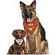 Pets First University of Texas Reversible Dog Bandana                                                                            - view number 4 image