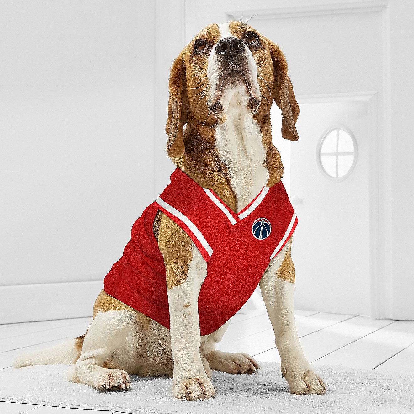 Pets First Washington Wizards Mesh Dog Jersey                                                                                    - view number 3
