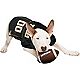 Pets First University of Missouri Mesh Dog Jersey                                                                                - view number 3 image