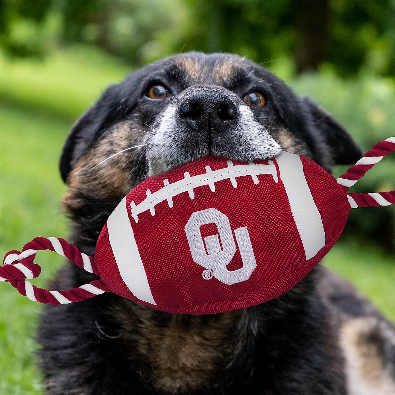 Pets First University of Oklahoma Nylon Football Rope Toy                                                                        - view number 2