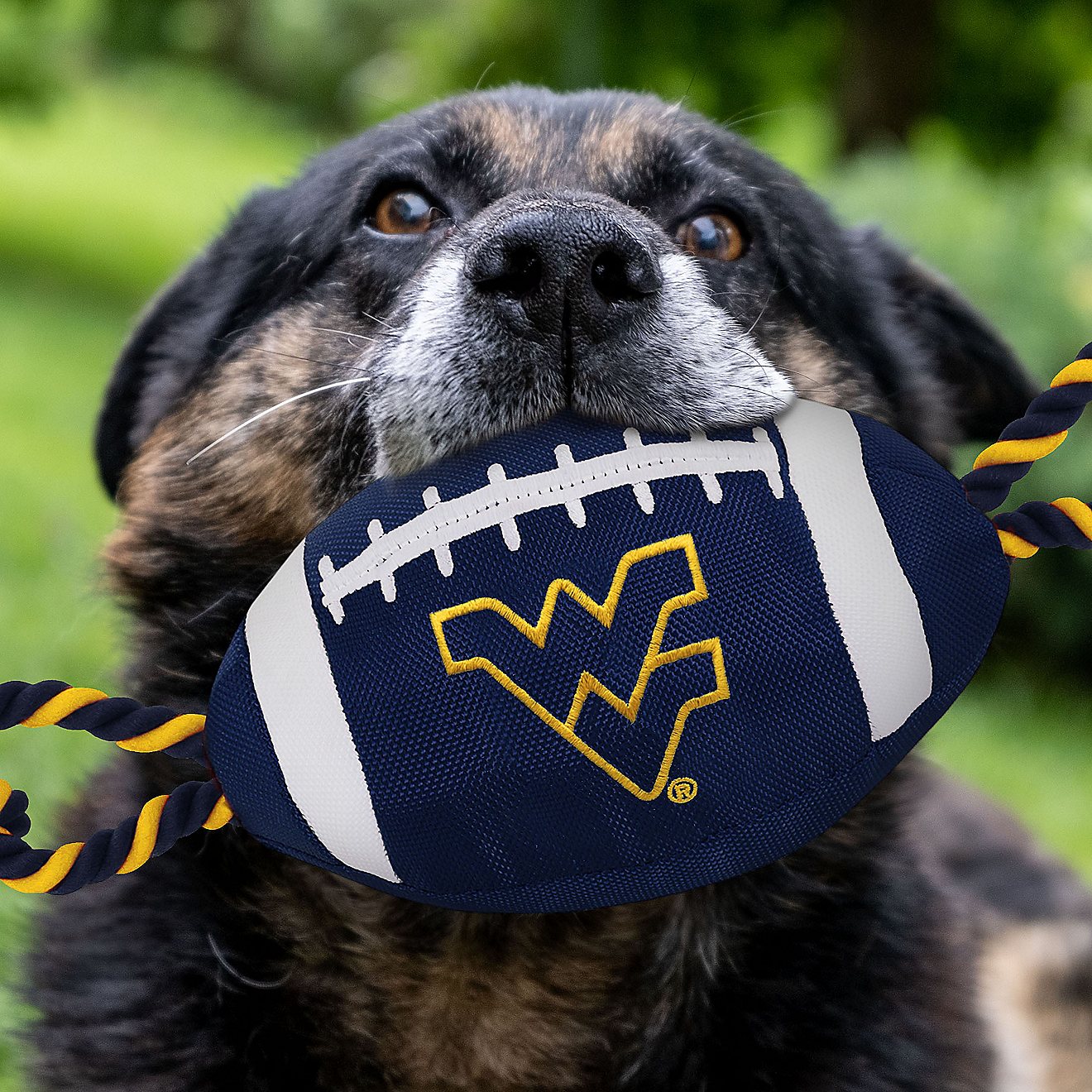 Pets First West Virginia University Nylon Football Rope Toy                                                                      - view number 2