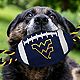 Pets First West Virginia University Nylon Football Rope Toy                                                                      - view number 2 image