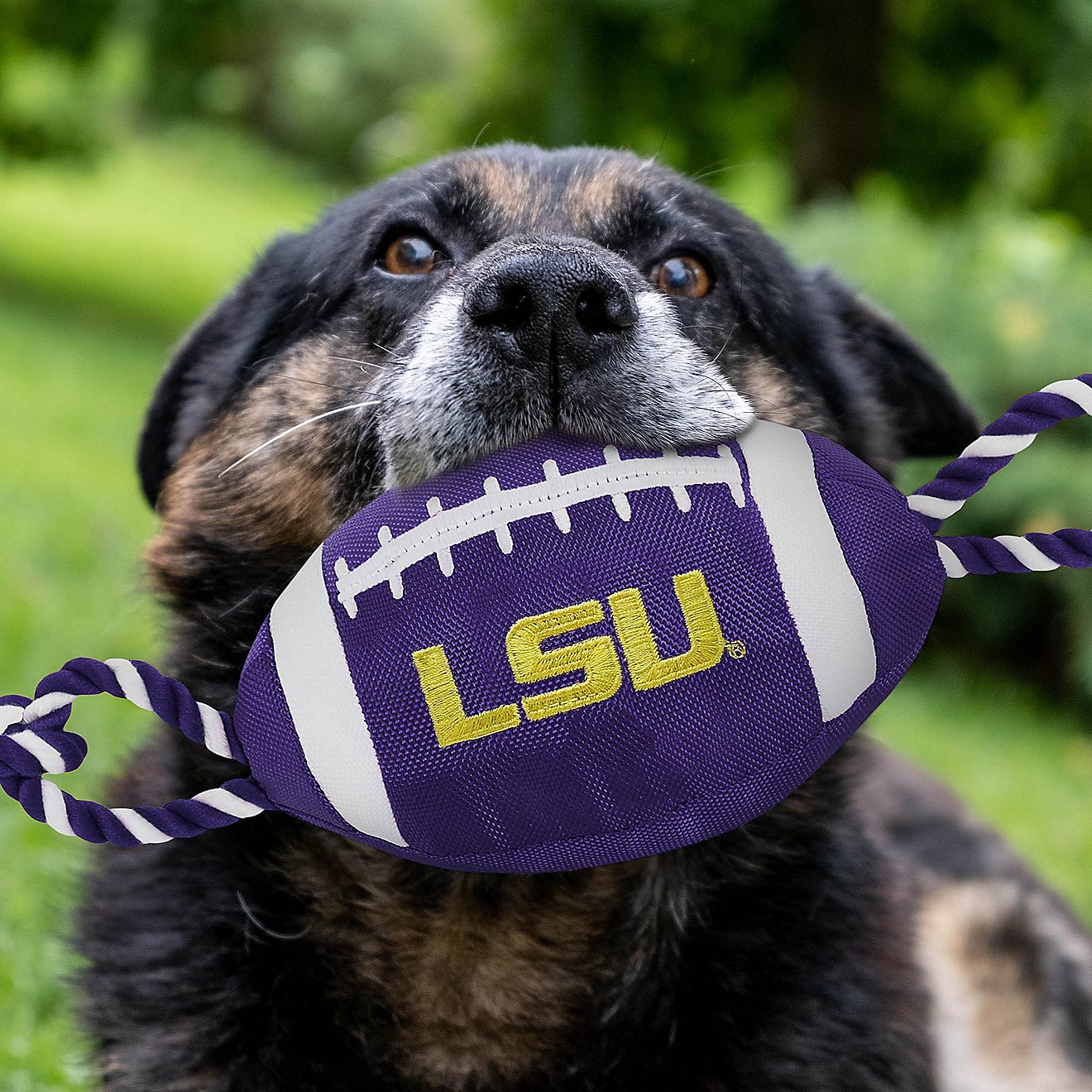 Pets First Louisiana State University Nylon Football Rope Toy                                                                    - view number 2
