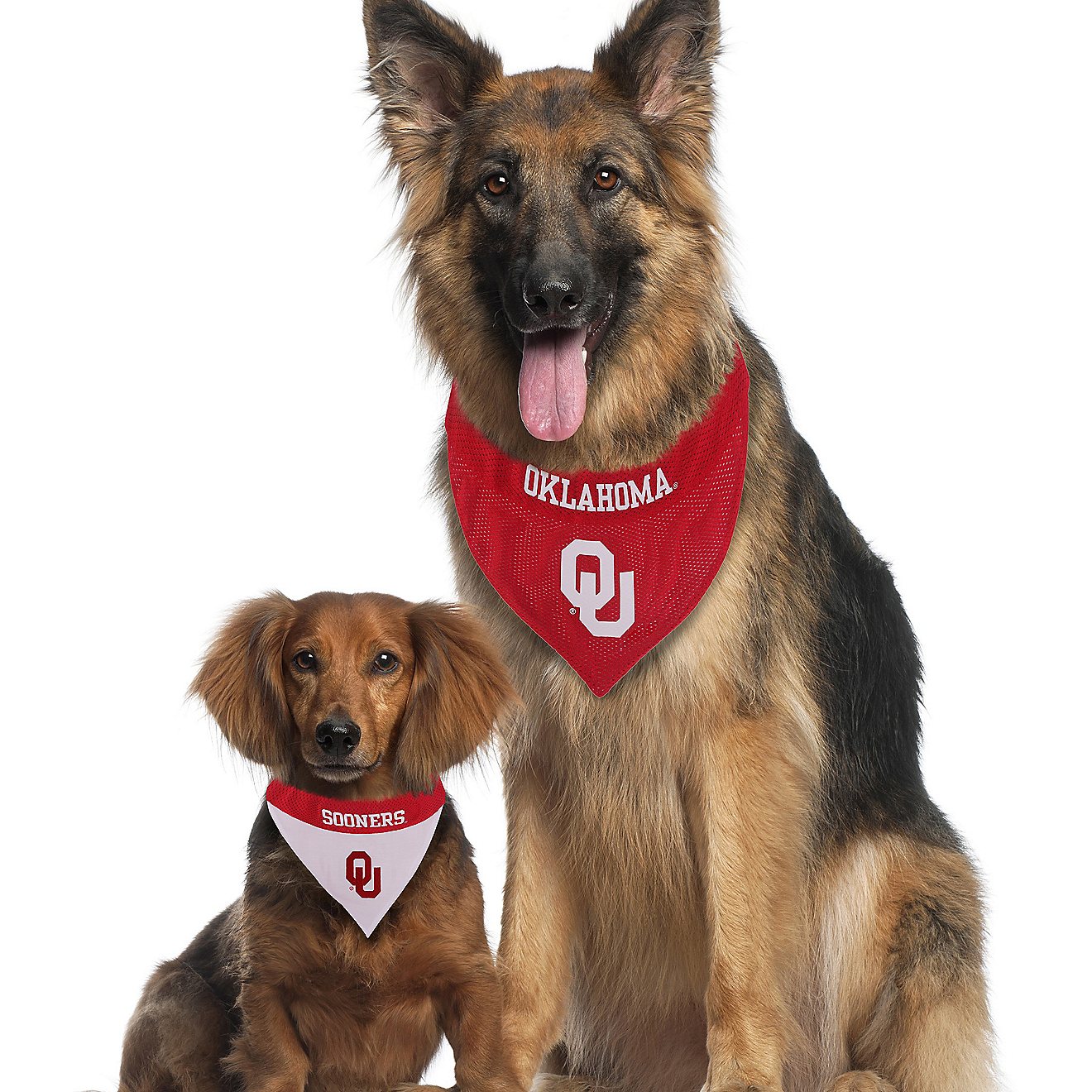 Pets First University of Oklahoma Reversible Dog Bandana                                                                         - view number 4