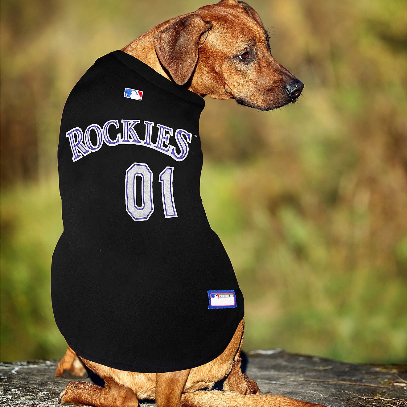 Pets First Colorado Rockies Mesh Dog Jersey                                                                                      - view number 3