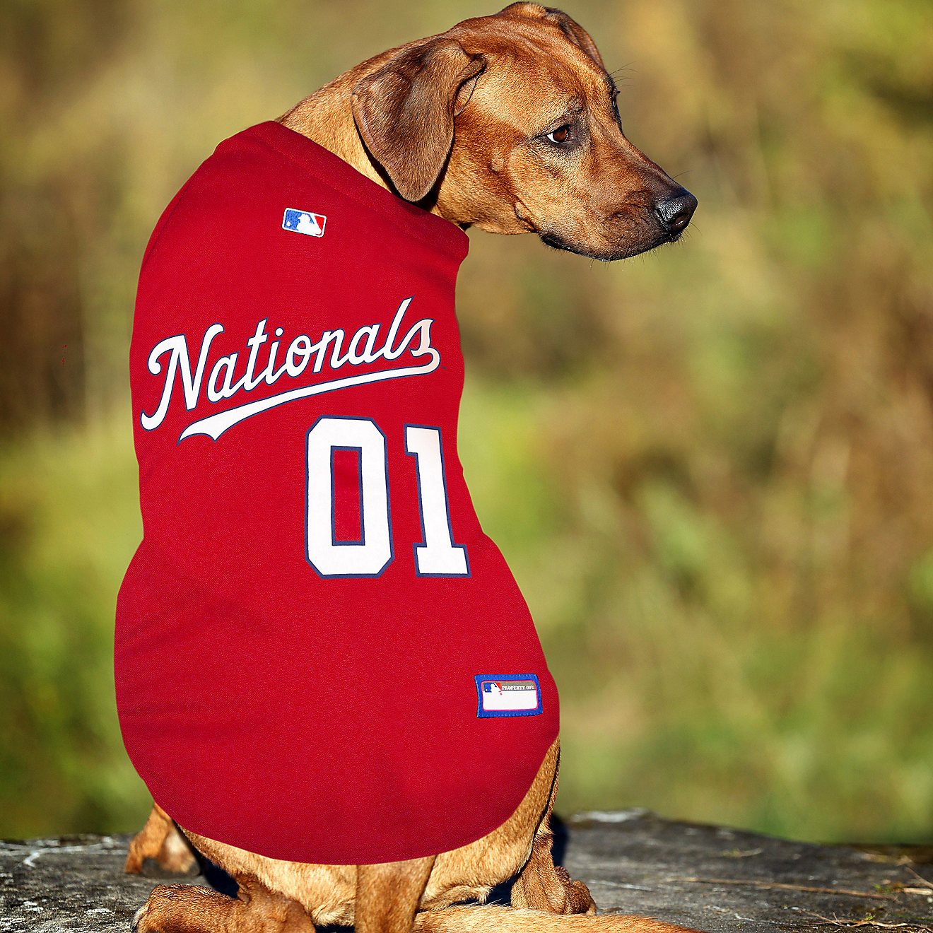 Pets First Washington Nationals Mesh Dog Jersey                                                                                  - view number 3