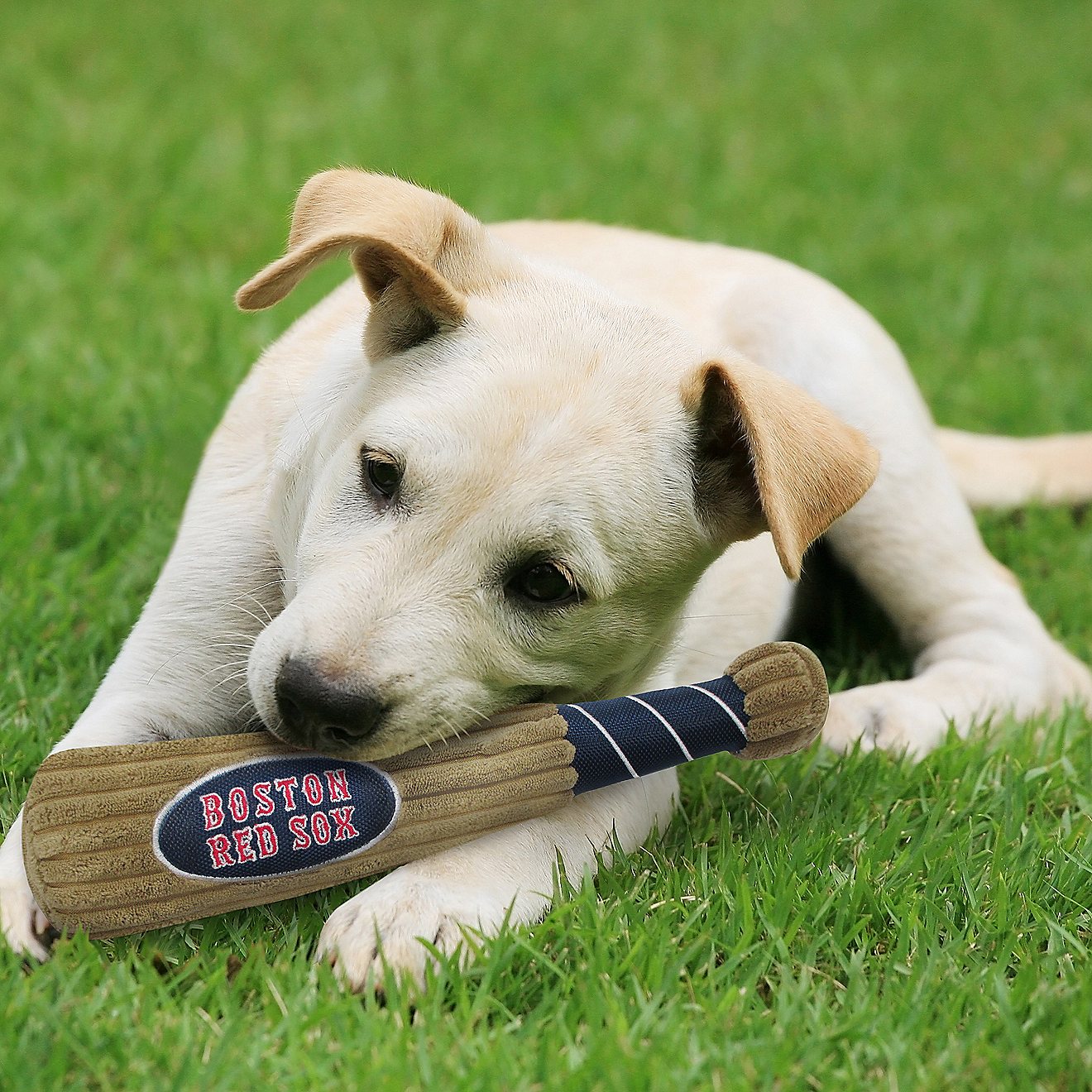 Pets First Boston Red Sox Baseball Bat Dog Toy                                                                                   - view number 2