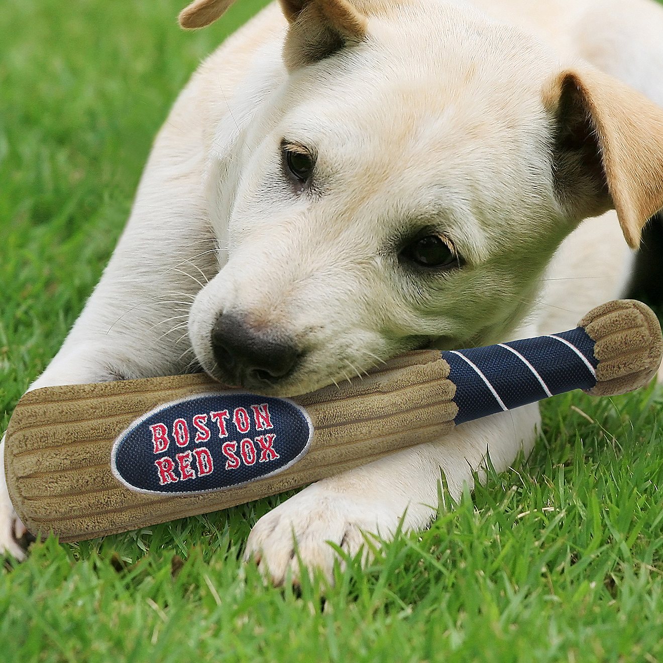 Pets First Boston Red Sox Baseball Bat Dog Toy                                                                                   - view number 3