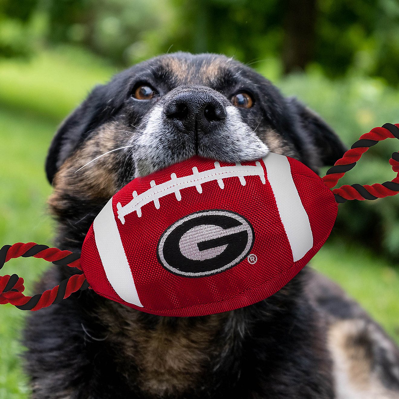 Pets First University of Georgia Nylon Football Rope Toy                                                                         - view number 2