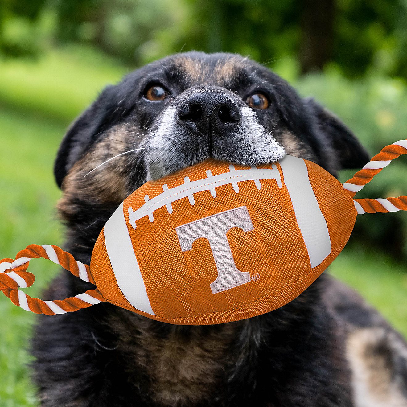Pets First University of Tennessee Nylon Football Rope Toy                                                                       - view number 2
