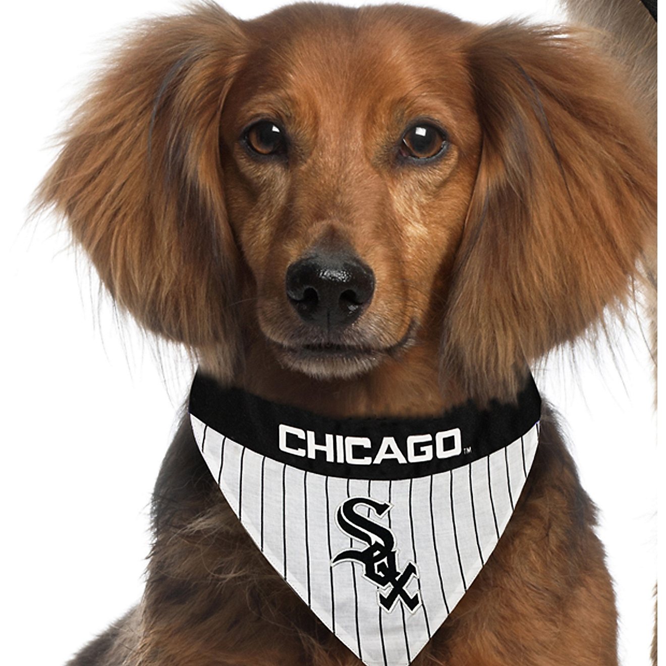 Pets First Chicago White Sox Reversible Dog Bandana                                                                              - view number 5