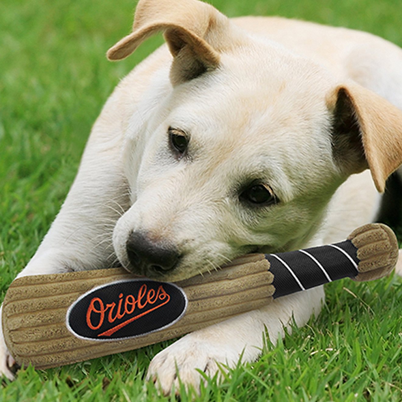 Pets First Baltimore Orioles Baseball Bat Dog Toy                                                                                - view number 3