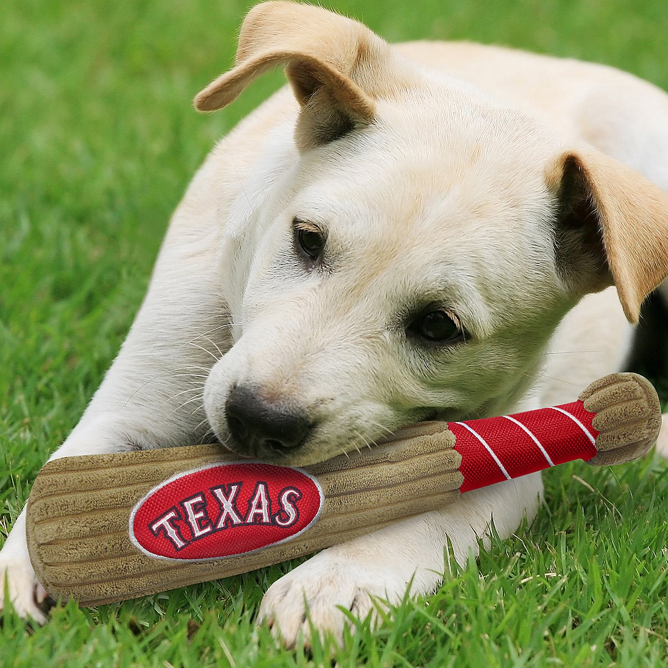 Pets First Texas Rangers Baseball Bat Dog Toy                                                                                    - view number 3