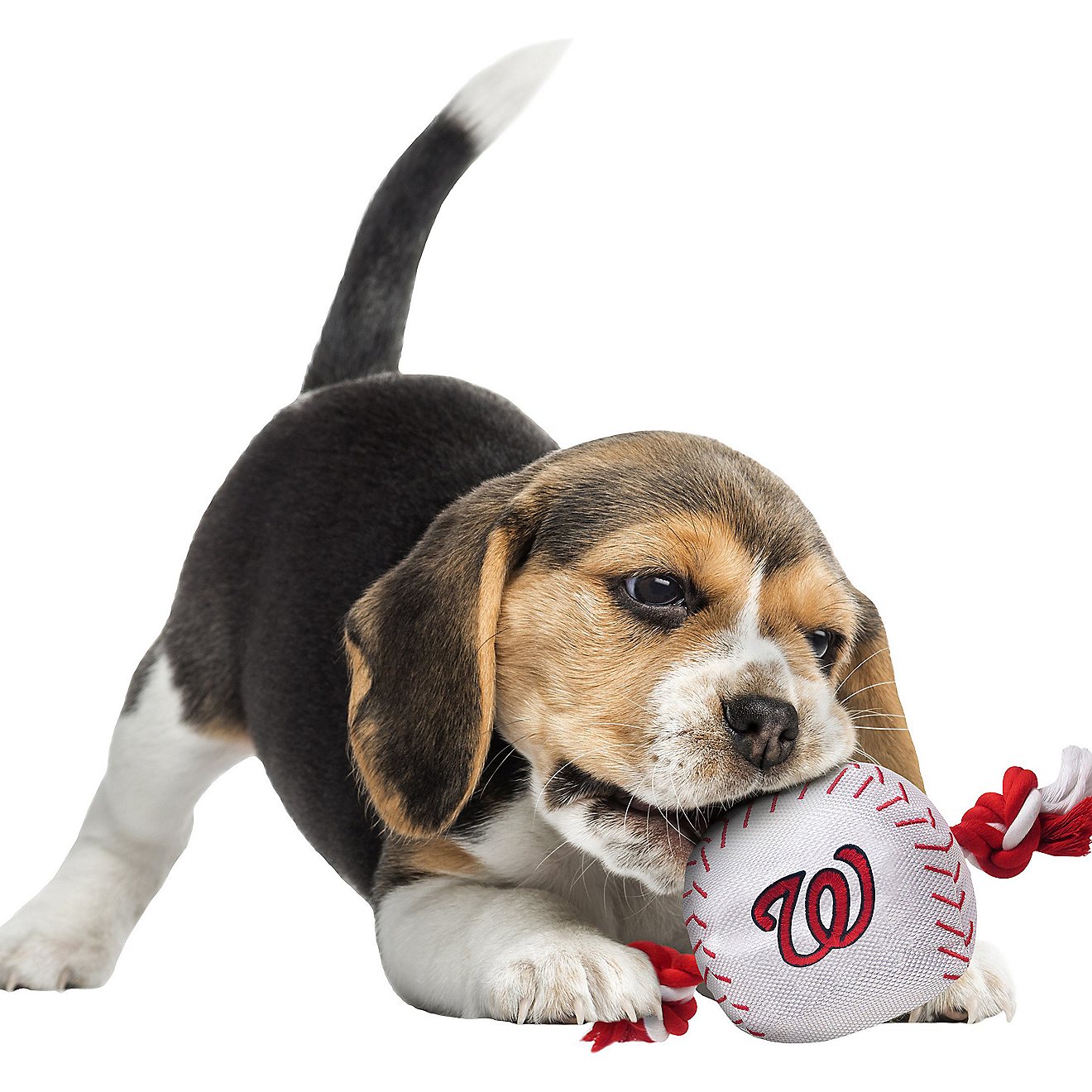 Pets First Washington Nationals Nylon Baseball Rope Dog Toy                                                                      - view number 2