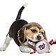 Pets First Washington Nationals Nylon Baseball Rope Dog Toy                                                                      - view number 2 image