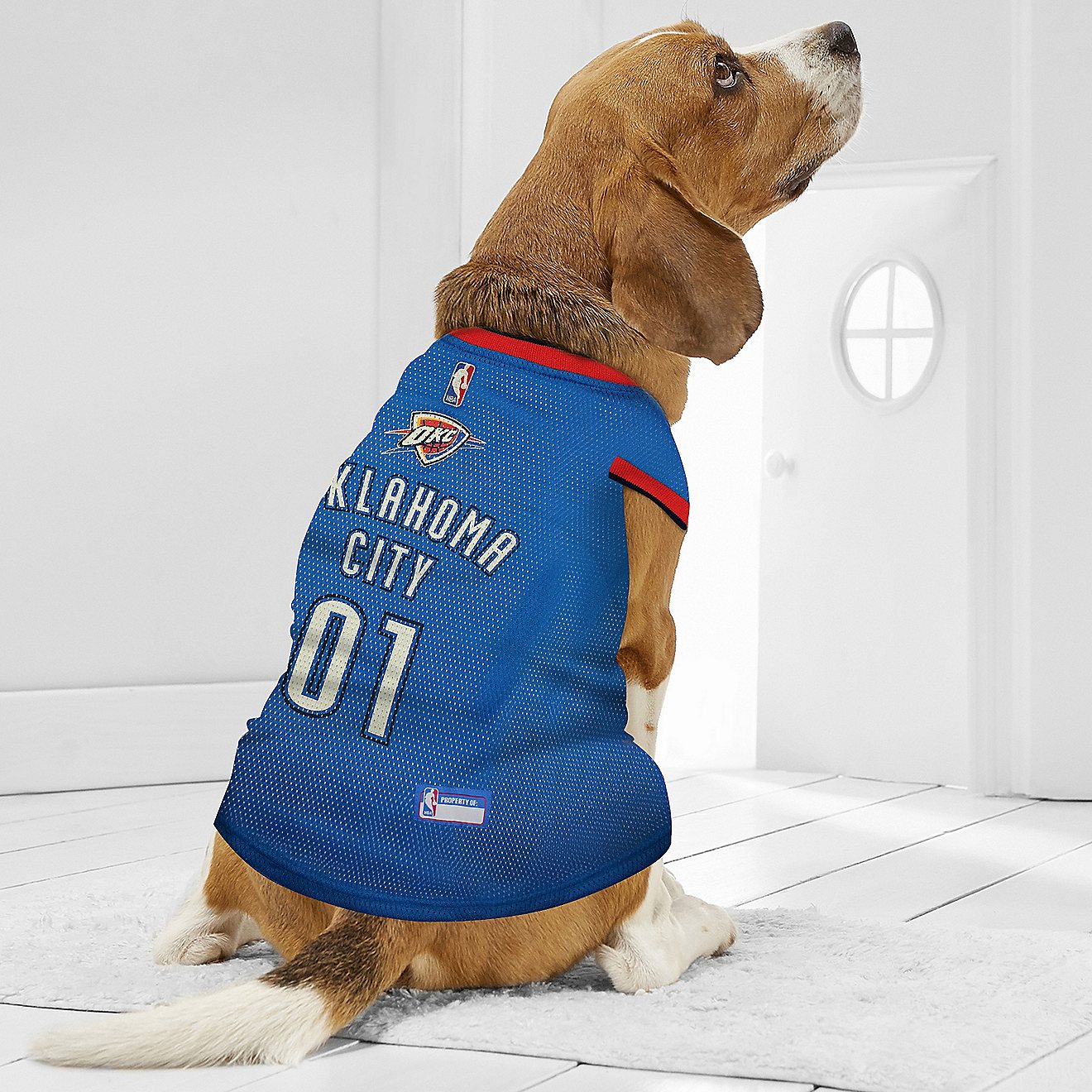 Pets First Oklahoma City Thunder Mesh Dog Jersey                                                                                 - view number 3