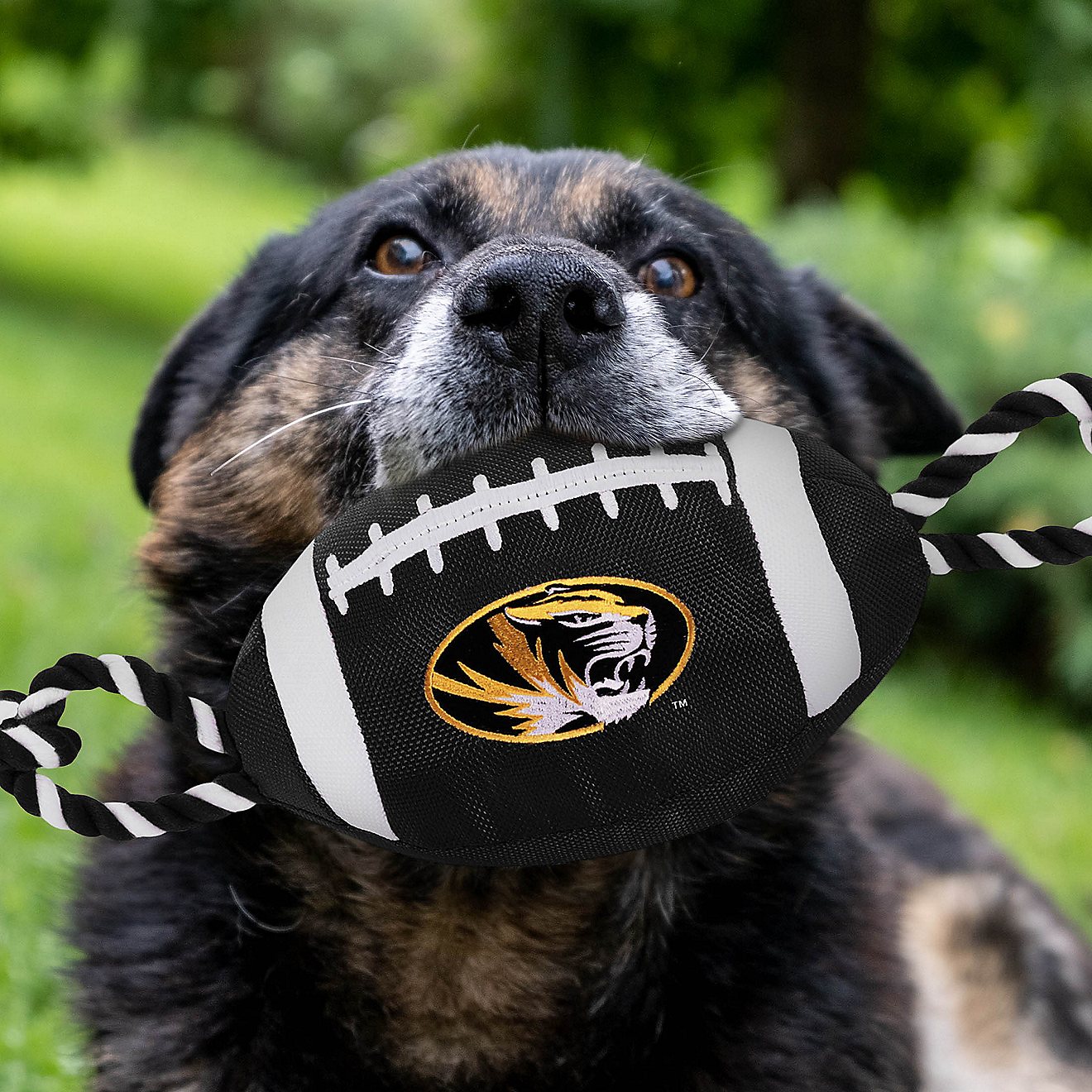 Pets First University of Missouri Nylon Football Rope Toy                                                                        - view number 2