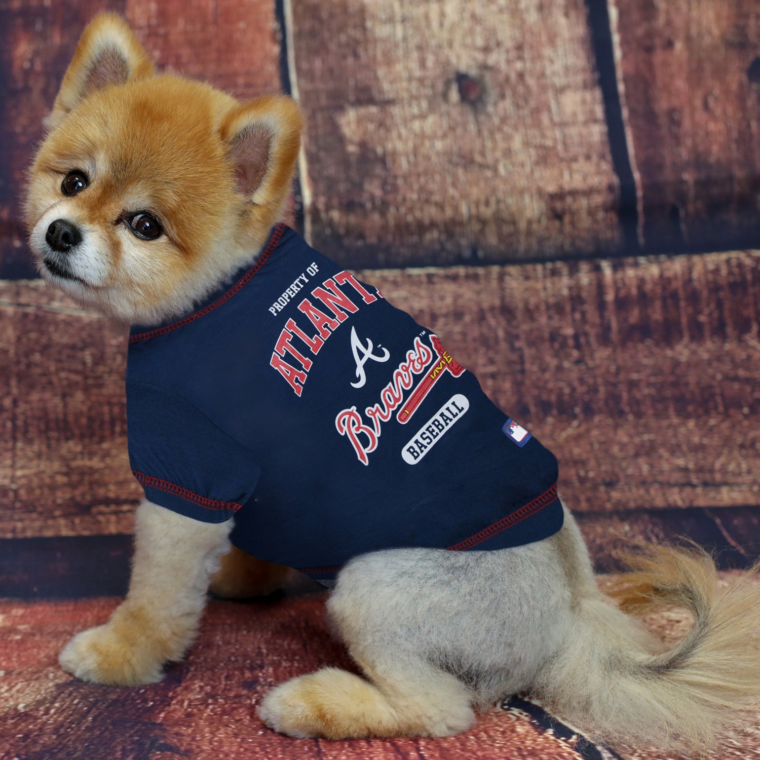 atlanta braves dog shirt