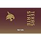 Tervis Texas State University Ombre 20 oz Tumbler                                                                                - view number 2 image