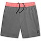 Chubbies Men's All Arounds Gym/Swim Shorts                                                                                       - view number 3 image