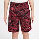 Nike Boys' Dri-FIT Printed Training Shorts 8 in                                                                                  - view number 1 image