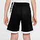 Nike Boys' Dri-FIT Basketball Shorts                                                                                             - view number 3 image