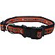 Pets First Houston Astros Dog Collar                                                                                             - view number 1 image