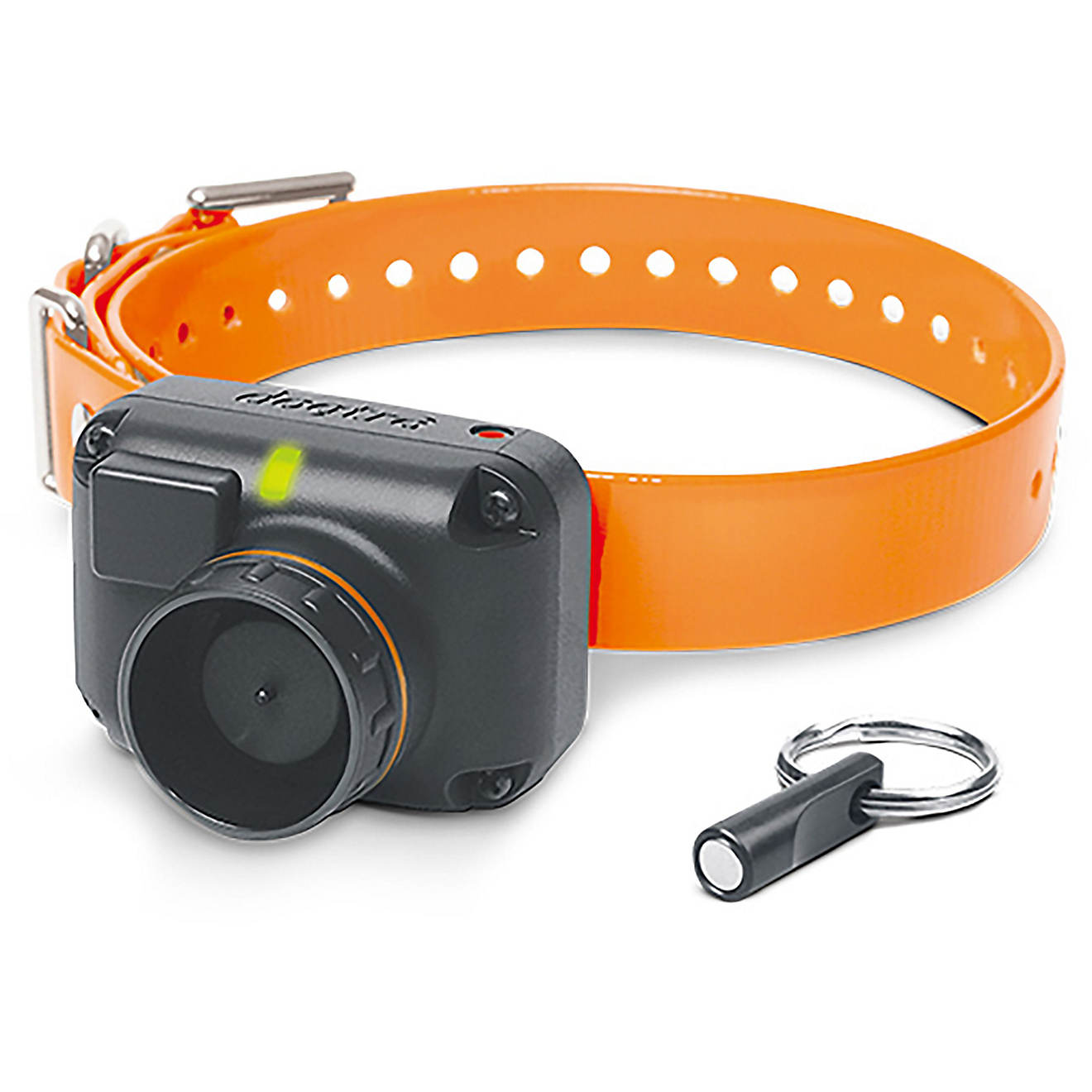 Dogtra STB Beeper Collar                                                                                                         - view number 1