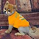 Pets First Miami Dolphins Pet T-shirt                                                                                            - view number 2 image