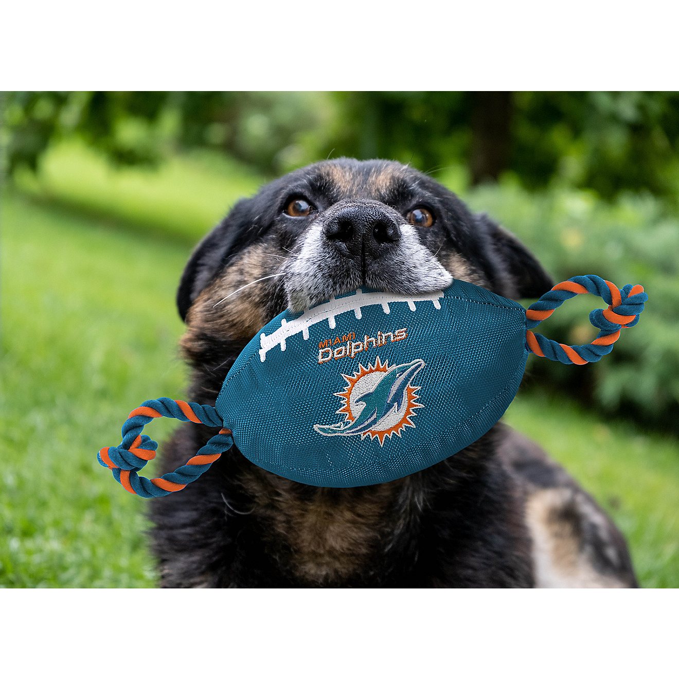 Pets First Miami Dolphins Nylon Football Rope Dog Toy                                                                            - view number 2