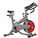 Sunny Health & Fitness AeroPro Indoor Cycling Bike                                                                               - view number 1 image
