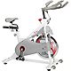 Sunny Health & Fitness Magnetic Belt Drive Indoor Cycling Bike                                                                   - view number 1 image