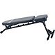 Sunny Health & Fitness Adjustable Utility Weight Bench                                                                           - view number 3 image