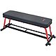 Sunny Health & Fitness Power Zone Flat Bench                                                                                     - view number 1 image