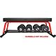 Sunny Health & Fitness Power Zone Flat Bench                                                                                     - view number 4 image