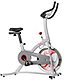 Sunny Health & Fitness Indoor Cycling Bike                                                                                       - view number 1 image