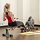 Sunny Health & Fitness Air Fan Rowing Machine                                                                                    - view number 6 image