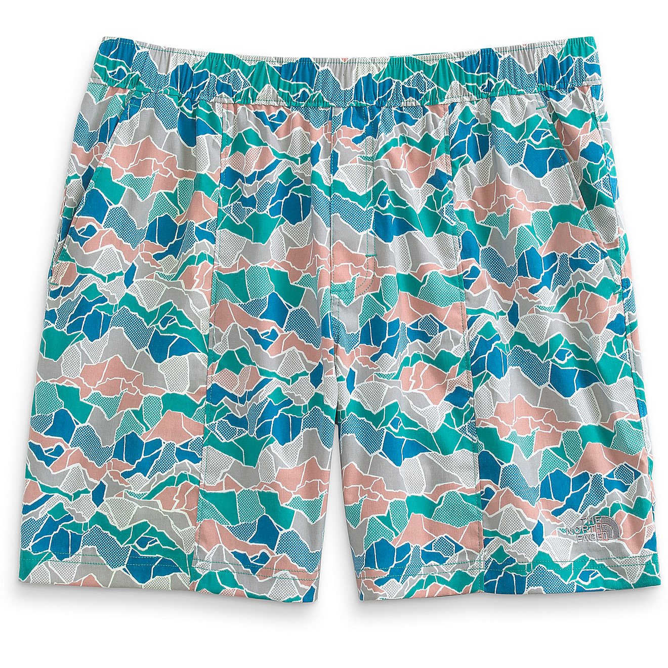The North Face Men's Printed Class V Pull-On Shorts 9 in                                                                         - view number 4