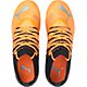 PUMA Youth FUTUREZ 2.3 Jr Firm Ground Cleats                                                                                     - view number 3 image