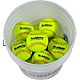 Academy Sports + Outdoors 12 in Fast-Pitch Practice Softballs 18-count Bucket                                                    - view number 2 image